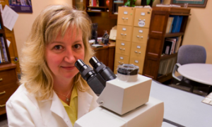 Webcast w/ bird detective, Carla Dove